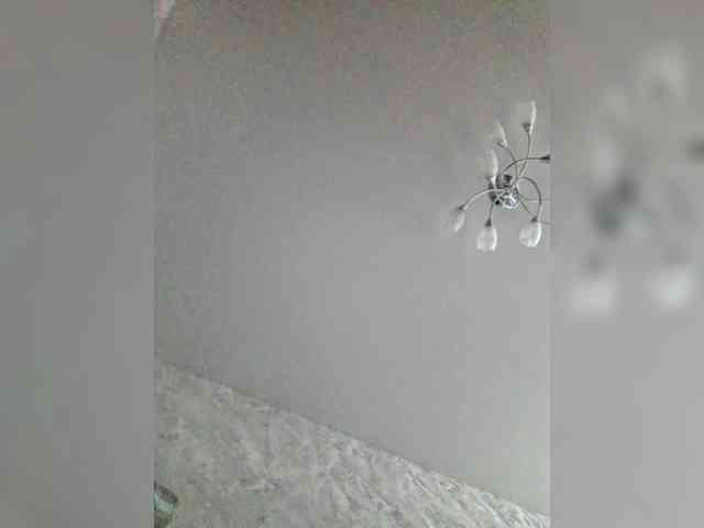 Lediskvirt48a webcam