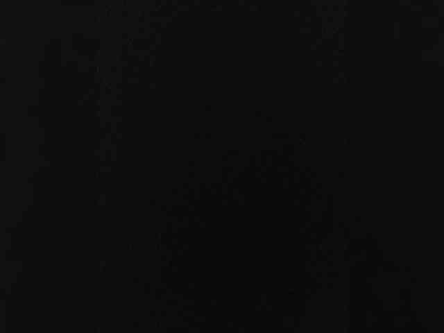 Lediskvirt48a webcam