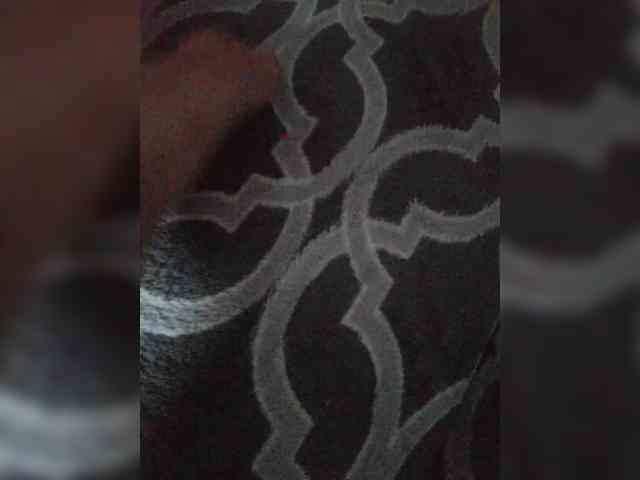 Lediskvirt48a webcam