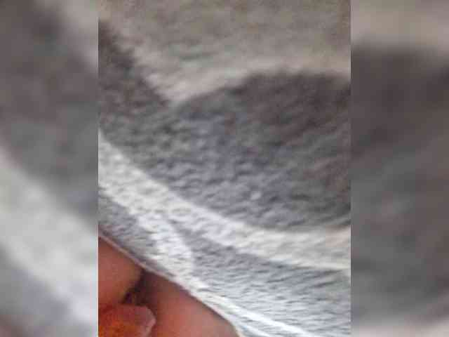 Lediskvirt48a webcam