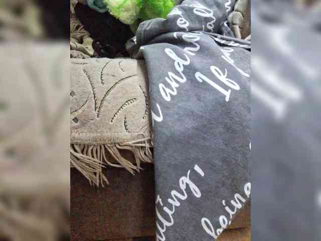 Lediskvirt48a webcam