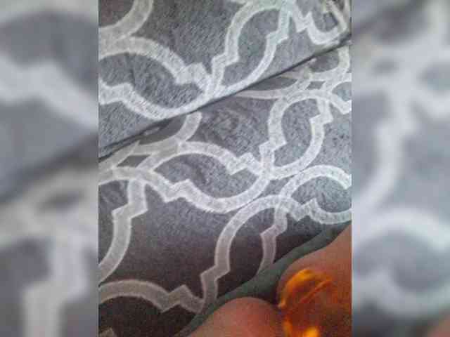 Lediskvirt48a webcam