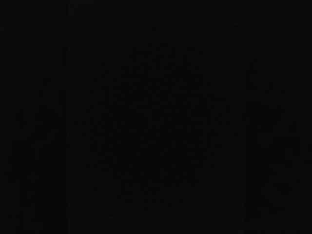 Lediskvirt48a webcam