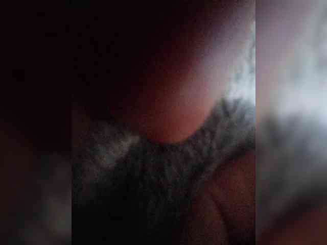 Lediskvirt48a webcam