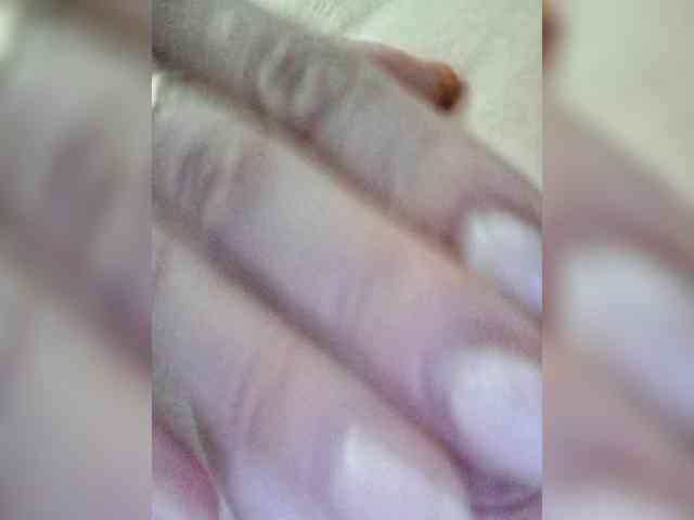 Lediskvirt48a webcam