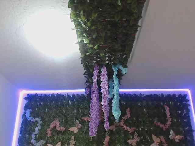 adaracute69 adaracute69