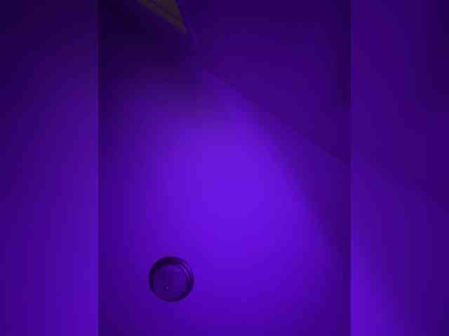 daltonslams daltonslams