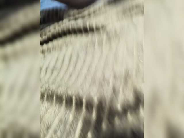 go to chat with Katty4