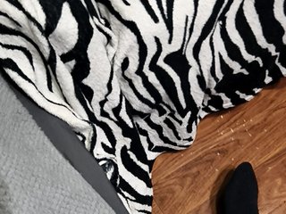 BerryandMister Porn Show