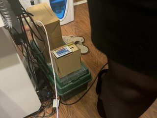 BerryandMister Porn Show