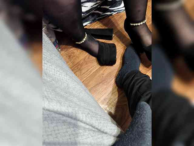 BerryandMister webcam