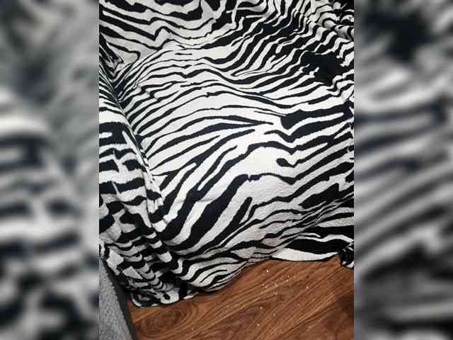 BerryandMister webcam