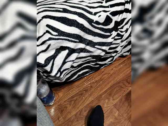 BerryandMister webcam