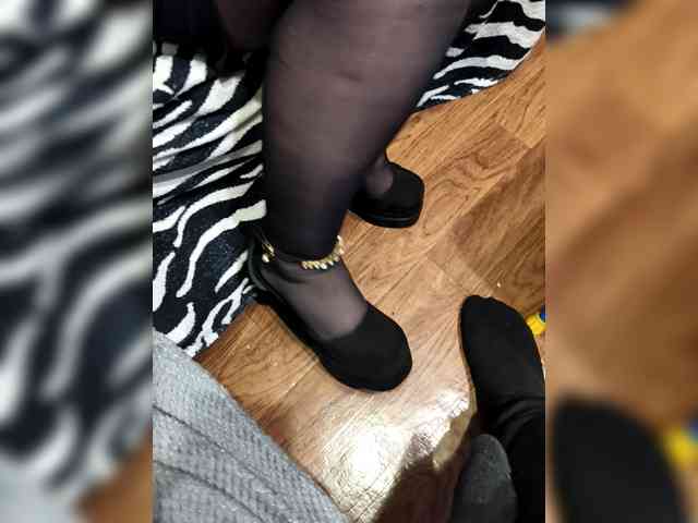 BerryandMister webcam