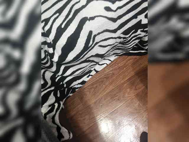 BerryandMister webcam