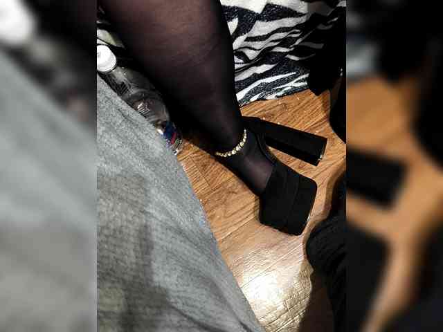 BerryandMister webcam