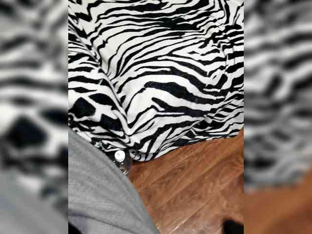 BerryandMister webcam