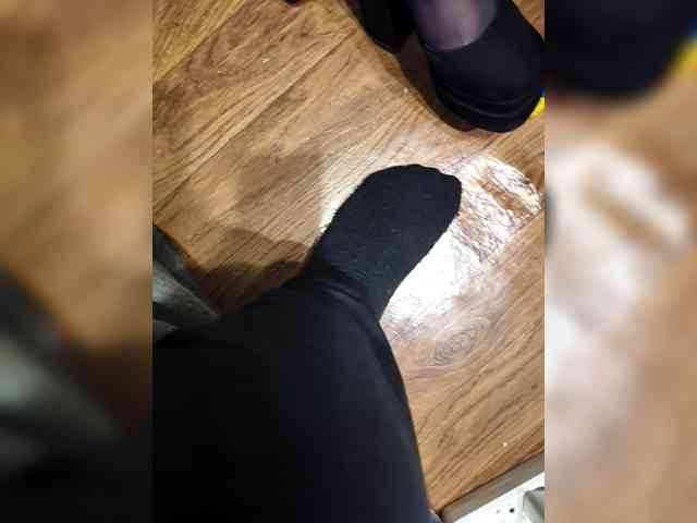 BerryandMister webcam