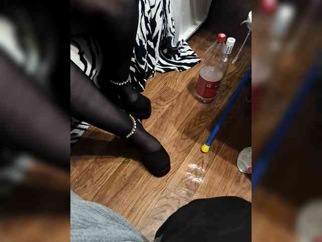 BerryandMister webcam