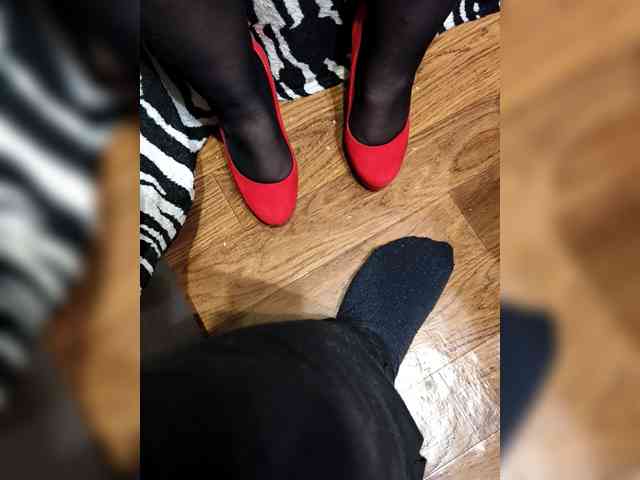 BerryandMister webcam