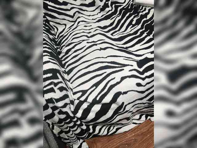 BerryandMister webcam