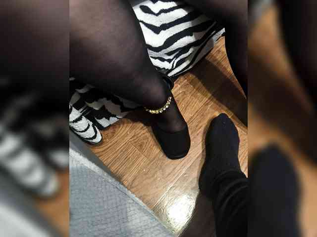 BerryandMister webcam