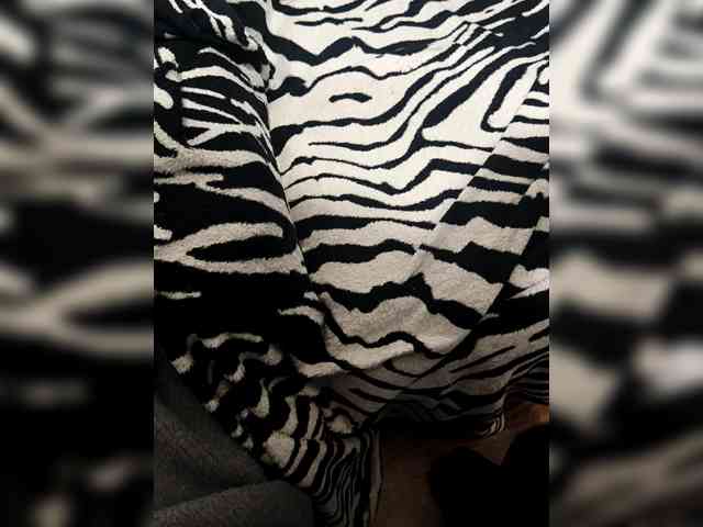 BerryandMister webcam