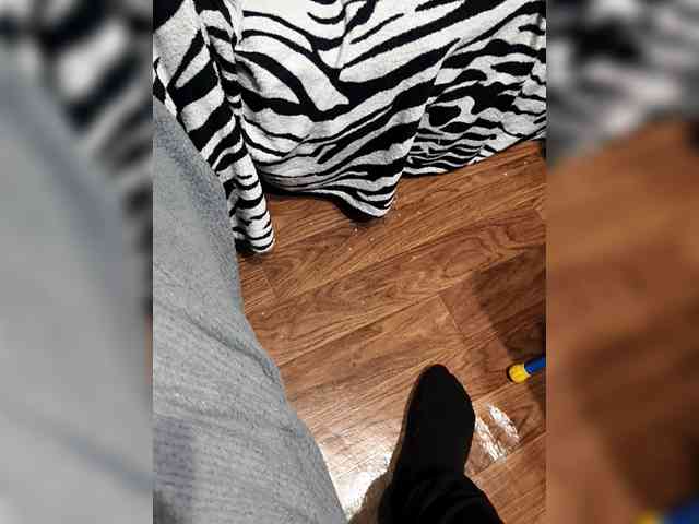 BerryandMister webcam