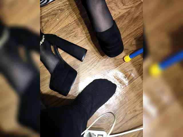 BerryandMister webcam