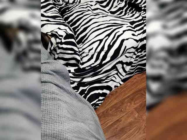 BerryandMister webcam