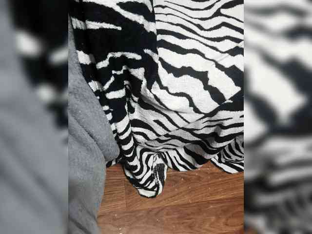 BerryandMister webcam