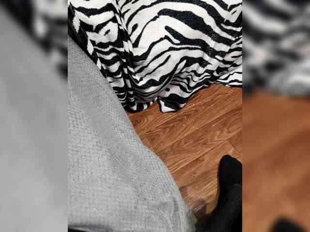 BerryandMister webcam