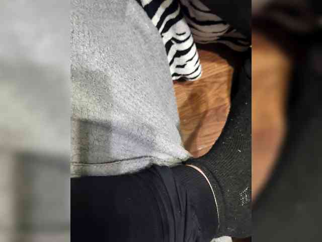 BerryandMister webcam