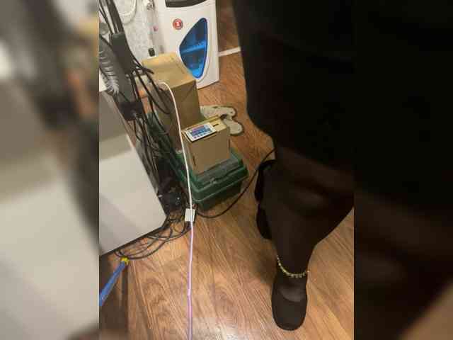 BerryandMister webcam