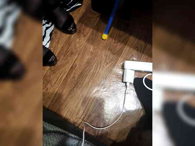 BerryandMister webcam