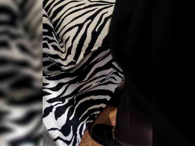 BerryandMister webcam