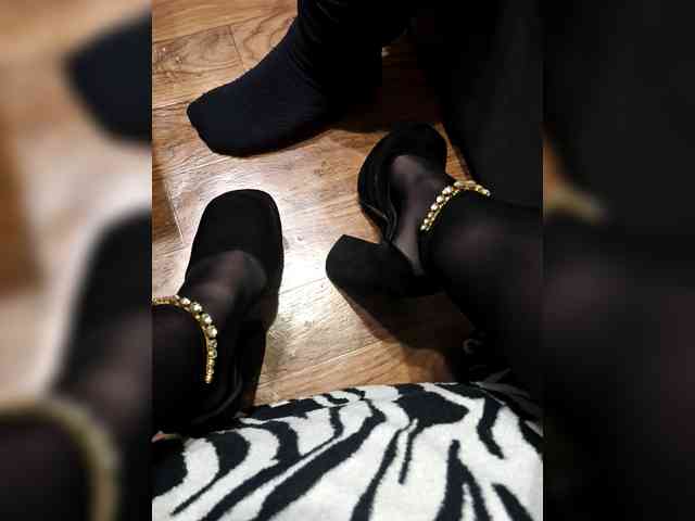 BerryandMister webcam