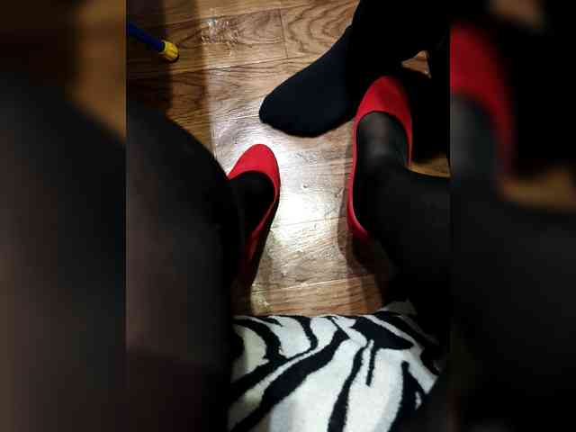 BerryandMister webcam