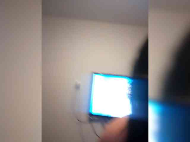 Mitchluvssaige webcam