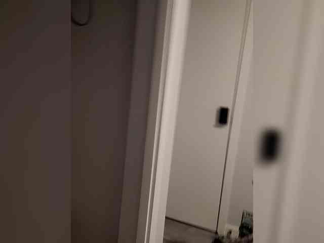 Mitchluvssaige webcam