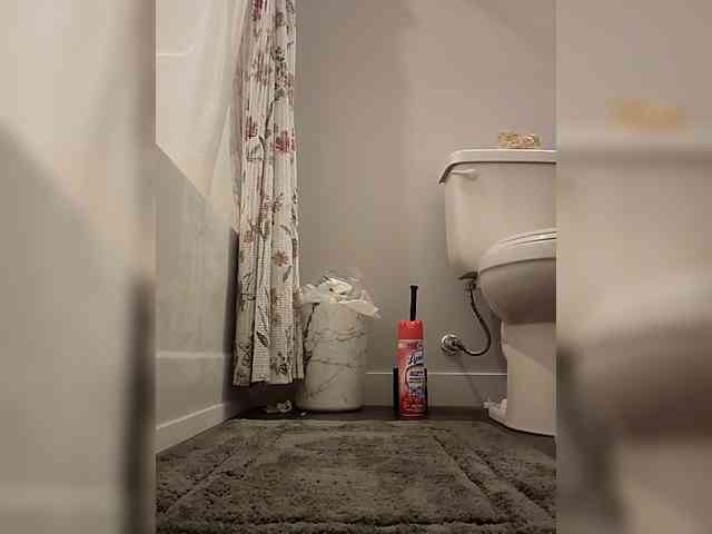 Mitchluvssaige webcam