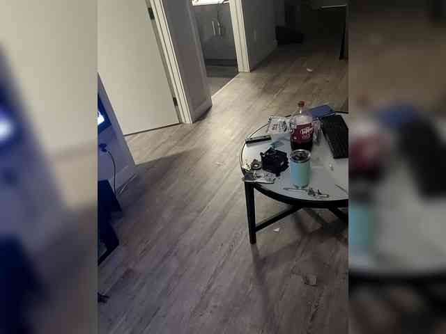 Mitchluvssaige webcam