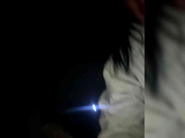 Mitchluvssaige webcam