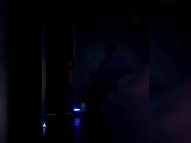 Mitchluvssaige webcam