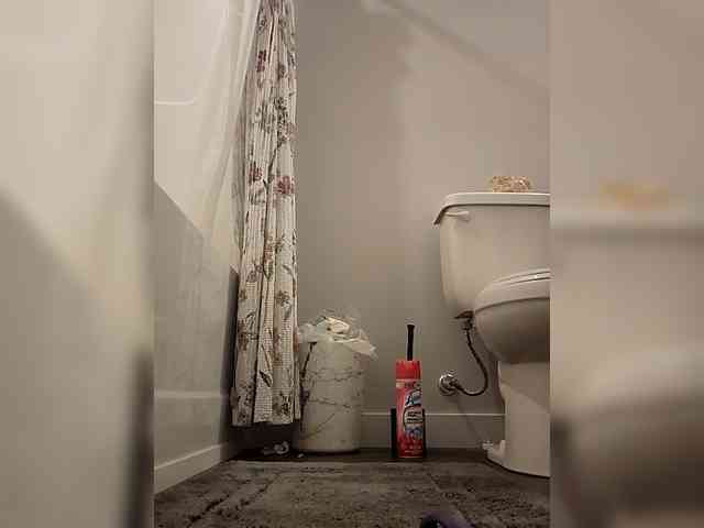 Mitchluvssaige webcam