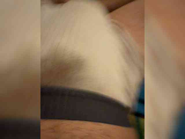 Marshall7aa Marshall7aa