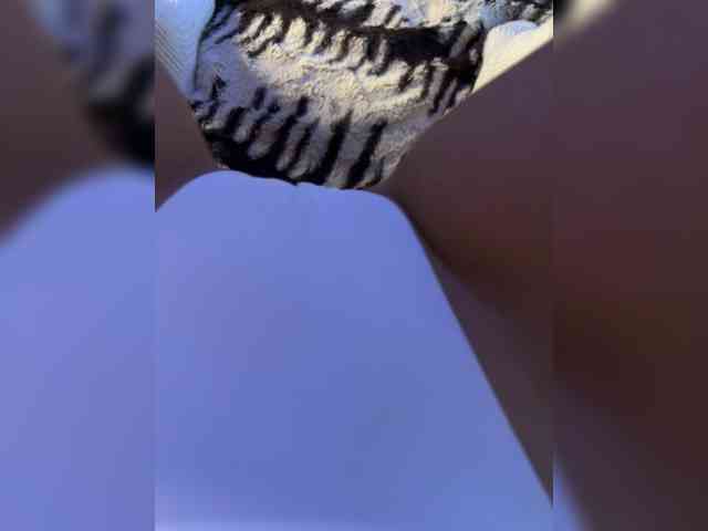 Marianna15 Marianna15