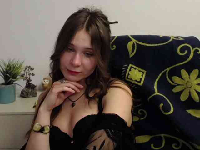 LanaSensitive webcam