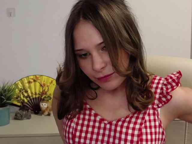 LanaSensitive webcam