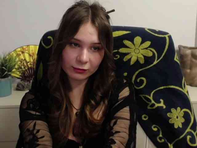 LanaSensitive webcam